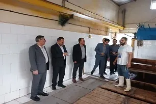 تولید و ذخیره‌سازی روزانه ۴ هزار قالب یخ در ایلام برای ایام اربعین