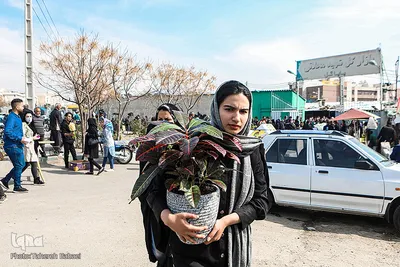 بازار گل محلاتی تهران