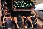 آیین سنتی «نخل‌گردانی» در روستای ابیانه نطنز