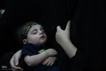 مراسم شیرخوارگان حسینی در امامزاده سیدمحسن(ع) تیرانچی