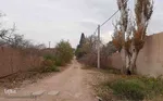 طبیعت پاییزی یزد در قاب تصویر