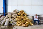پخت غذا برای سیل‌زدگان خوزستانی توسط مواکب خمینی‌شهر