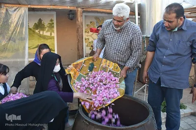 جشنواره گل محمدی در خانه تاریخی پورحسینی‌های شهر سمنان
