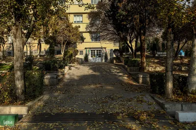 آخرین روزهای برگ‌ریزان دانشگاه تهران