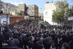 آیین 500 ساله نخل‌گردانی در مهدیشهر‎