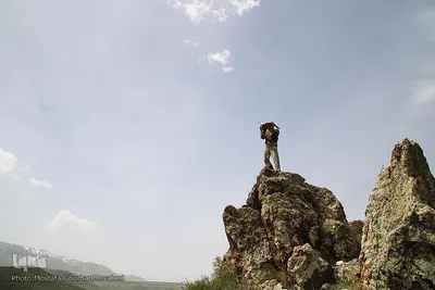 رهاسازی دو گونه ارزشمند و نادر حیات وحش منطقه ارسباران در ارتفاعات شهرستان اهر