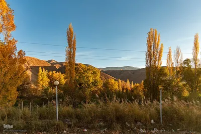 پاییز زیبای طالقان