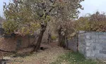 طبیعت پاییزی یزد در قاب تصویر