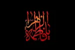حضرت زهرا(س) بنابر ضرورت وارد فعالیت سیاسی و اجتماعی شدند