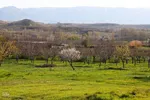 طبیعت بهاری شهرستان اهر