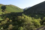 طبیعت تیر ماهی جنگل‌های ارسباران