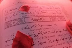 Sure Ibrahim; Betonung der gemeinsamen Ziele der Propheten Gottes