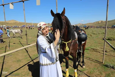 جشنواره فرهنگی و ورزشی عشایر آذربایجان شرقی در کلیبر
