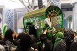 همایش شیرحوارگان در کرج