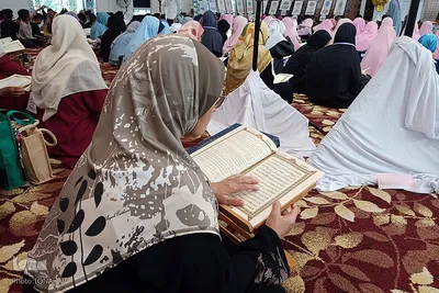 محفل قرآنی با حضور شیخ المصراوی در جشنواره رستو