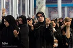 همایش شیرحوارگان در کرج