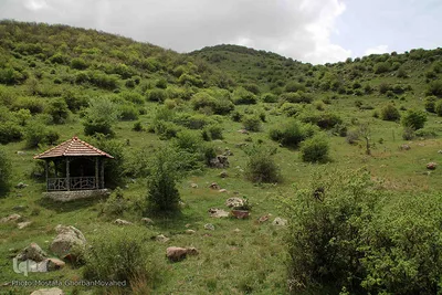 طبیعت بهاری شهرستان اهر در یک نگاه