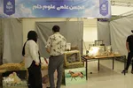 رویشی از فکر، حرکتی به‌سوی آینده