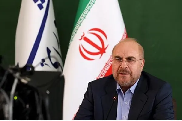 کشورهای اسلامی در مسیر جرم‌انگاری پدیده قرآن‌سوزی در سطح بین‌المللی گام بردارند