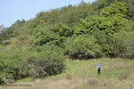 بقعه امامزاده پیرداوود‎
