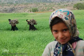 مادران ایل