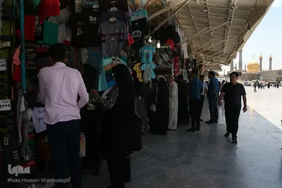زندگی در کنار بارگاه کریمه اهل بیت(س)