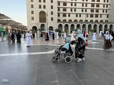 حال و هوای مسجدالنبی در ایام حج