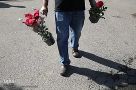 بازار گل شهید محلاتی در روز ملی گل