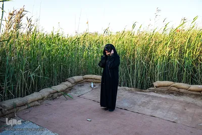 زائران در مناطق عملیاتی جنوب کشور