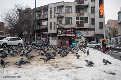 چهارراه کبوترها‎‎