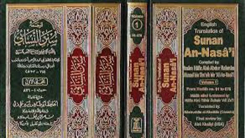 আলী (আ.)’র প্রশংসাসূচক হাদিস বলায় প্রাণ হারান সুন্নি ইমাম নাসায়ি
