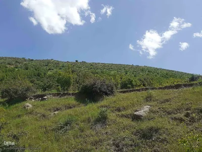 طبیعت بکر و زیبای منطقه گردشگری فندقلوی اهر