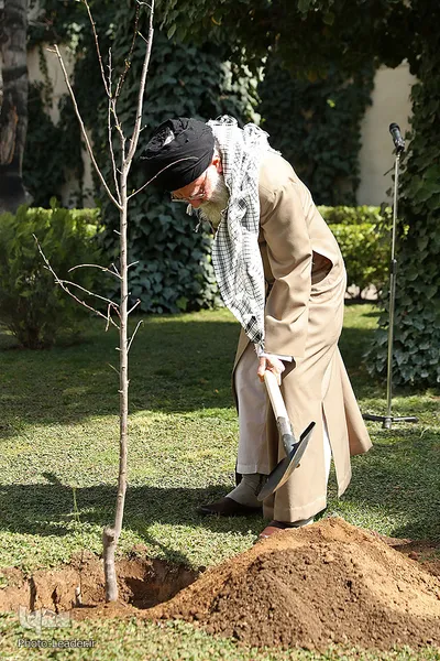 کاشت نهال در هفته منابع طبیعی توسط رهبر انقلاب