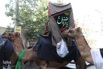 ⁨آئين نمادين حركت كاروان اسرای كربلا