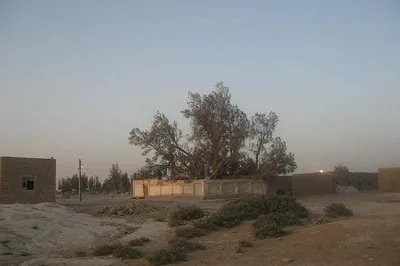 ثبت ۴۰ وقف جدید در سیستان