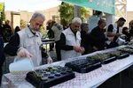 قافله عزاداری ۲۸ صفر در اصفهان