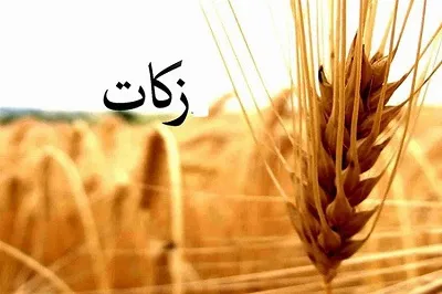 مردم سیستان‌وبلوچستان ۵ میلیارد تومان زکات پرداخت کردند