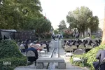 بزرگداشت روز پزشک در همدان‎