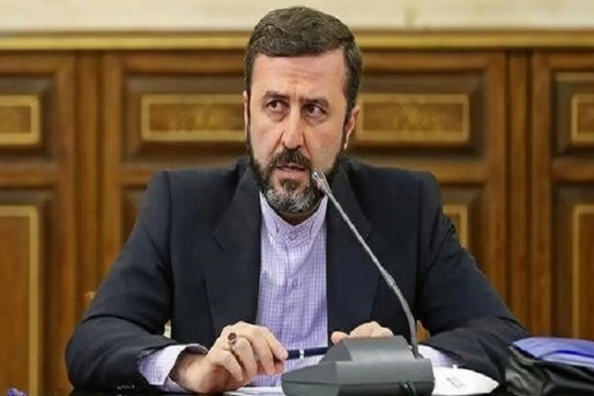 Muslim Countries Urged to Turn Supportive Words for Palestine into Action