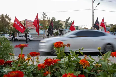 علم گردانی در شیراز‎