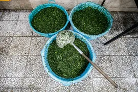 پخت و توزیع ۹ تن آش نذری در سالروز رحلت پیامبر اعظم (ص)