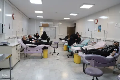 نذری به زیبایی بخشیدن حیات