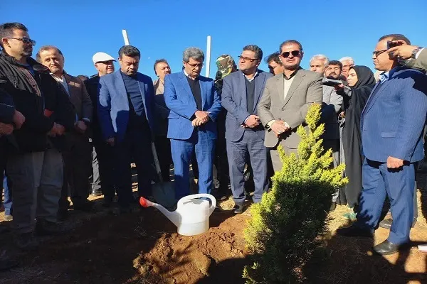 ۱۲ میلیون اصله نهال در کردستان کاشت می‌شود