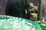 عزاداری شب پنجم محرم الحرام در باغ جنت