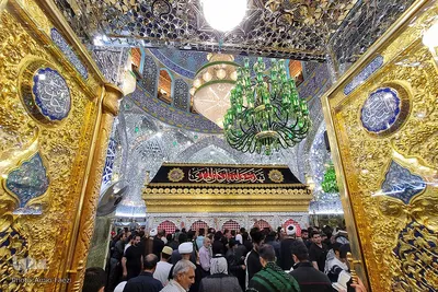 احیا در حرم امام علی‎‎