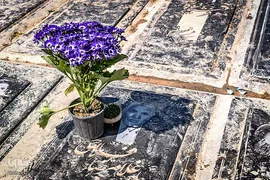 زیارت اهل قبور در آخرین پنجشنبه سال 