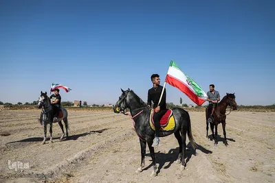 جشنواره پسته آذرشهر‎