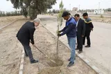 عکس | کاشت 200 اصله نهال در دانشگاه زابل