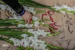 ادای احترام خبرنگاران شیراز به مقام شامخ شهدا
