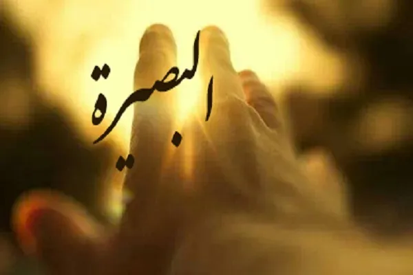 فاقِدُ الْبَصيرَةِ فاسِدُ النَّظَرِ
